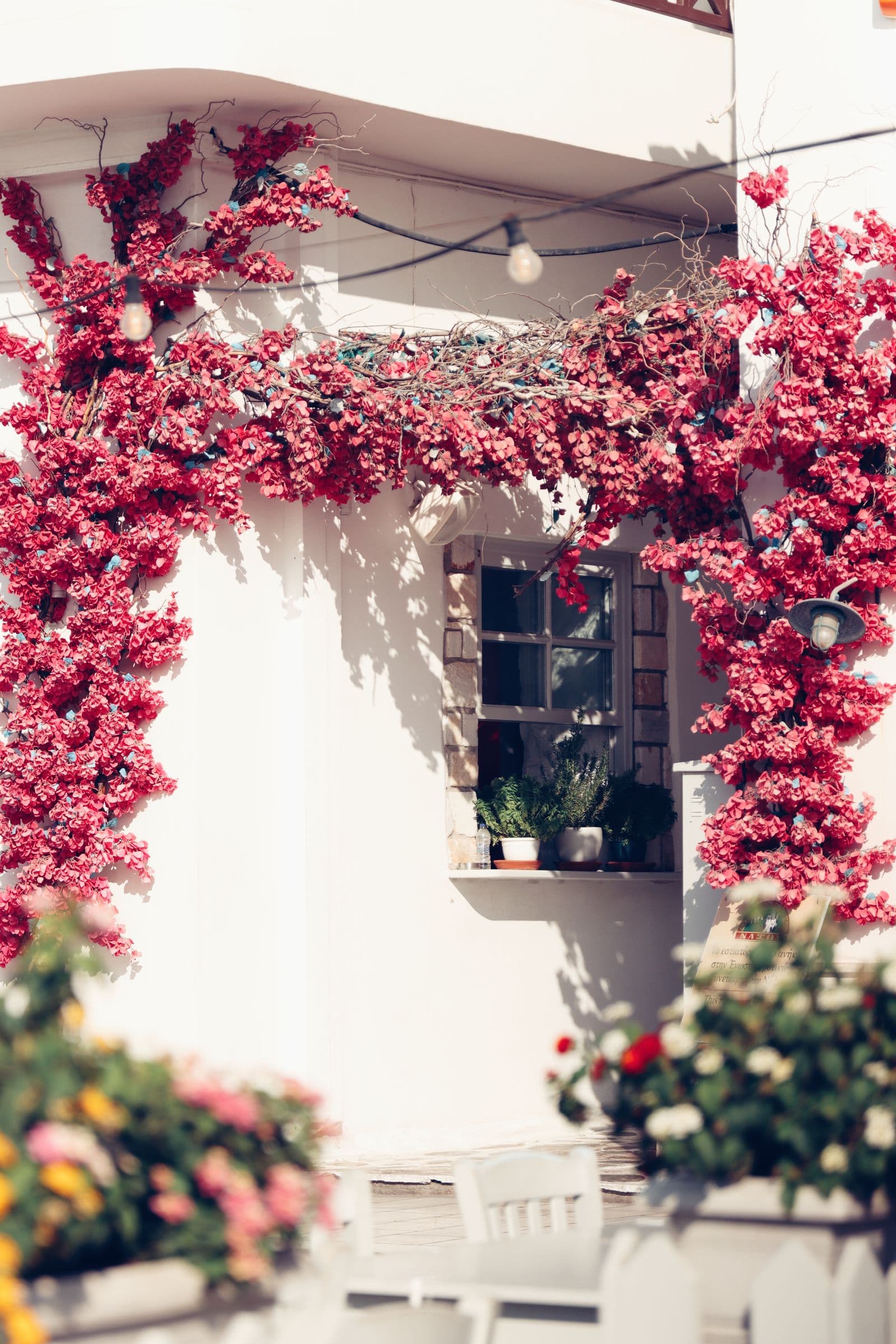 A white house under an arch of bougainvillea, with chairs set out beneath it