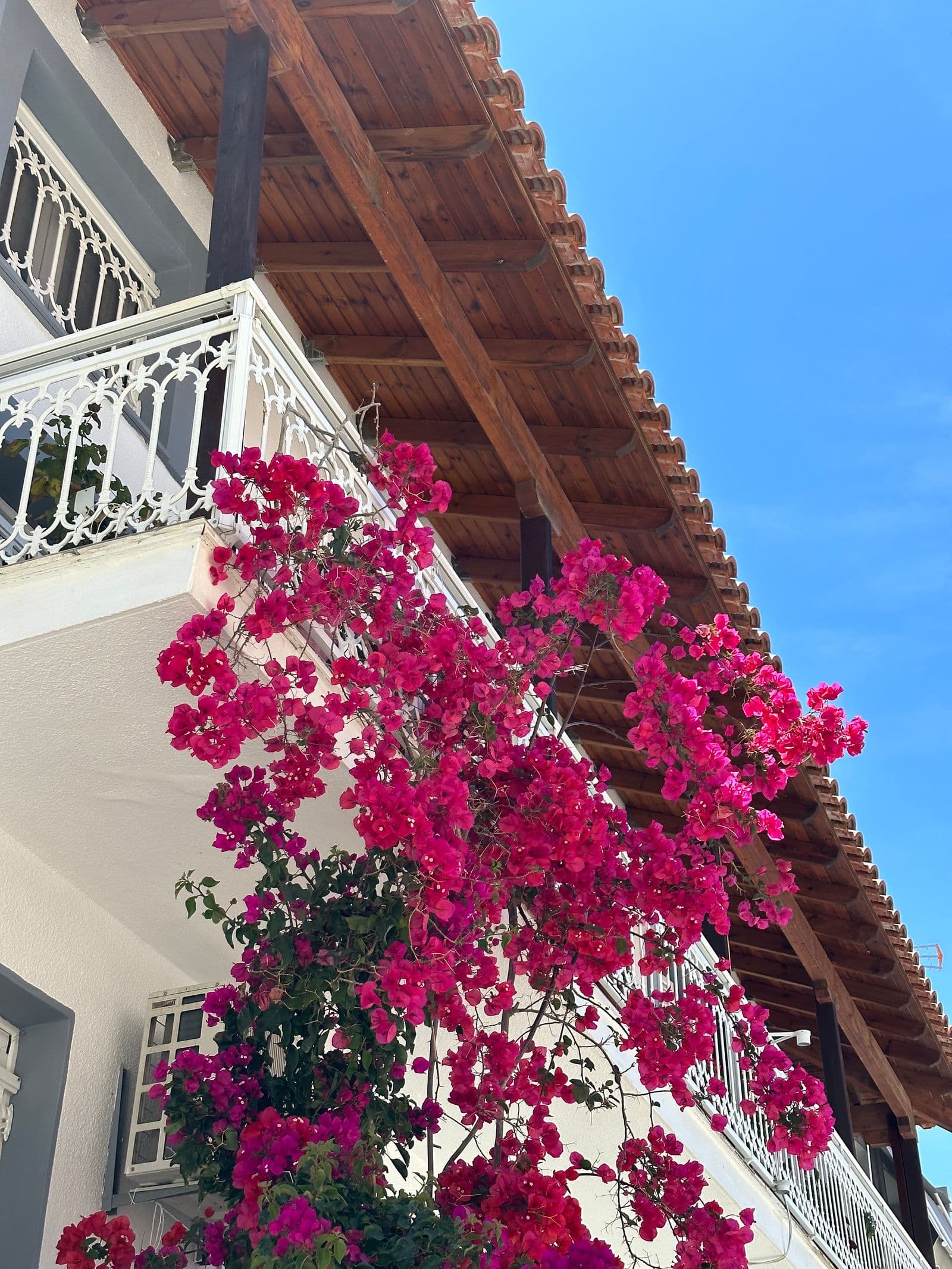 A white coastal house under blooming bougainvillea in full sun