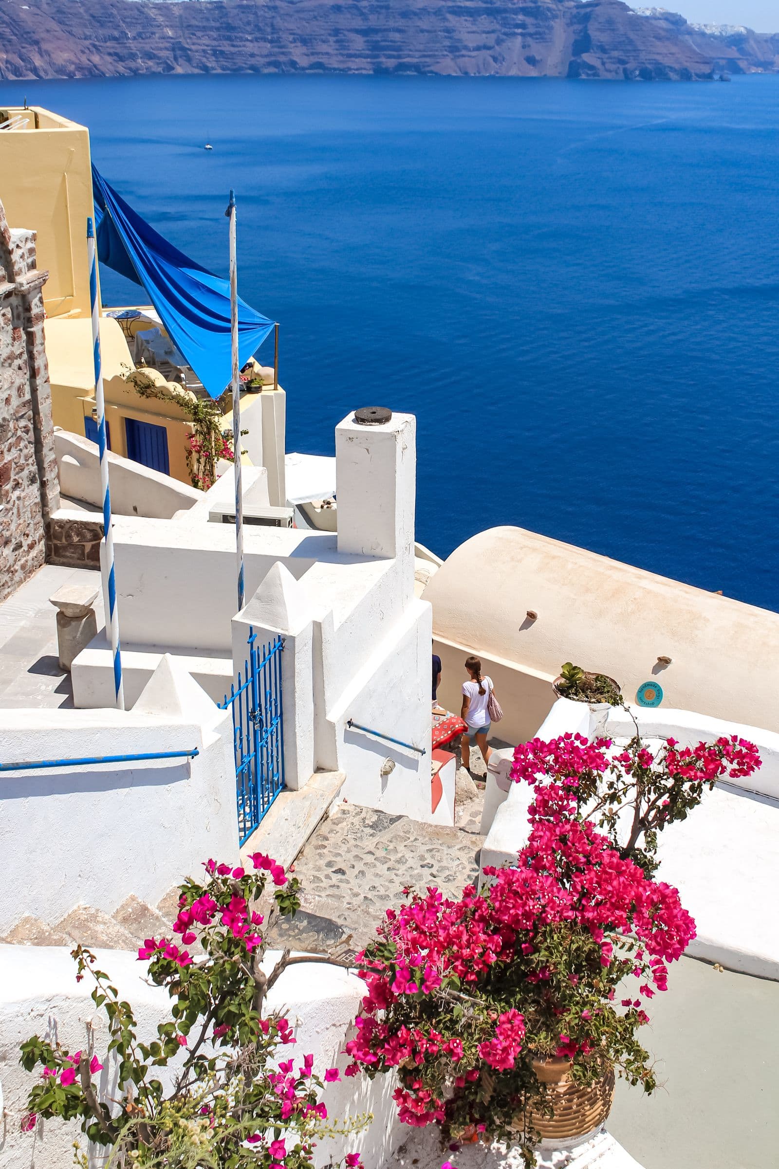 Whitewashed coastal houses and flowers above a deep blue morning sea